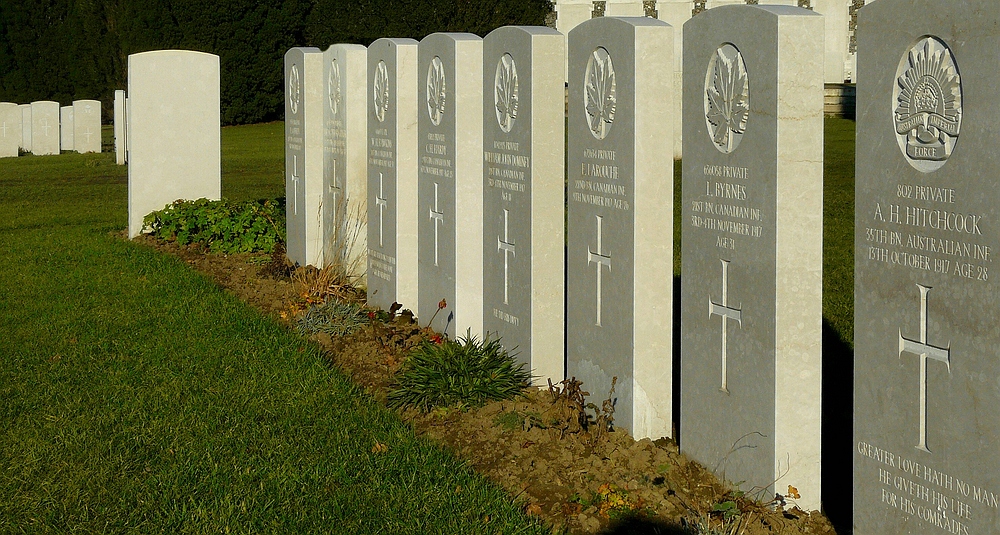 In Flanders fields (4)