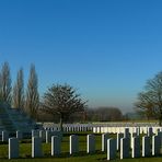 In Flanders fields (5)