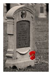 In Flanders' fields