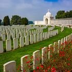 In Flanders Fields