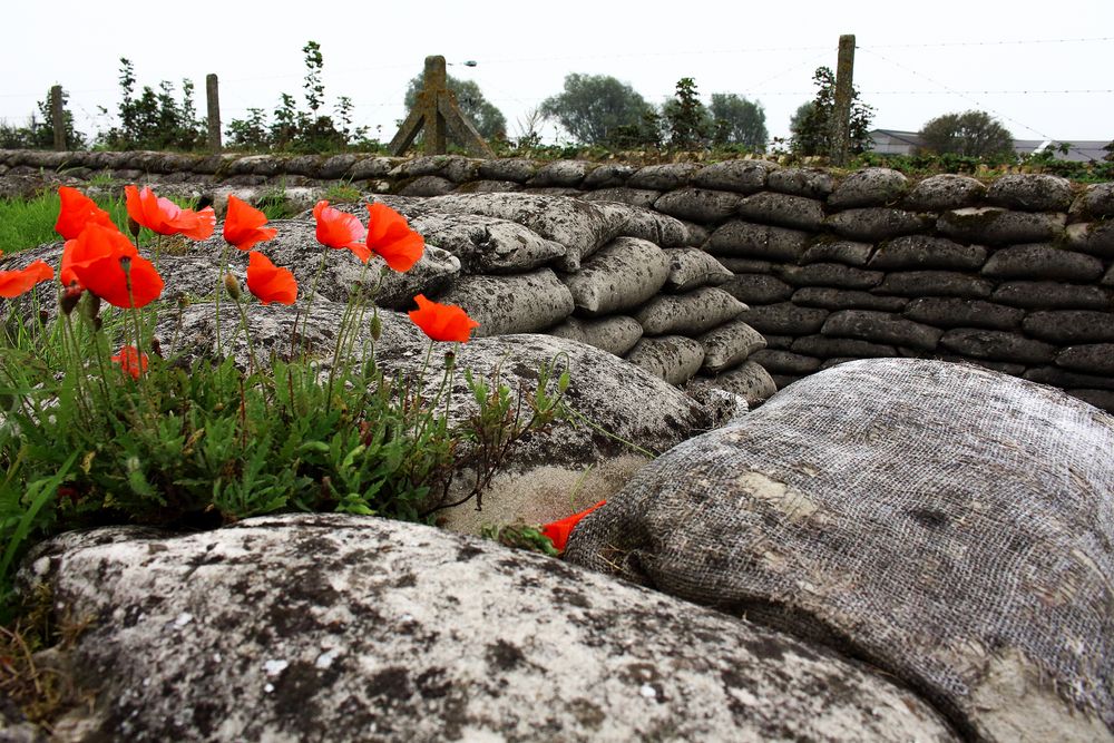 ~ In Flanders Fields ~