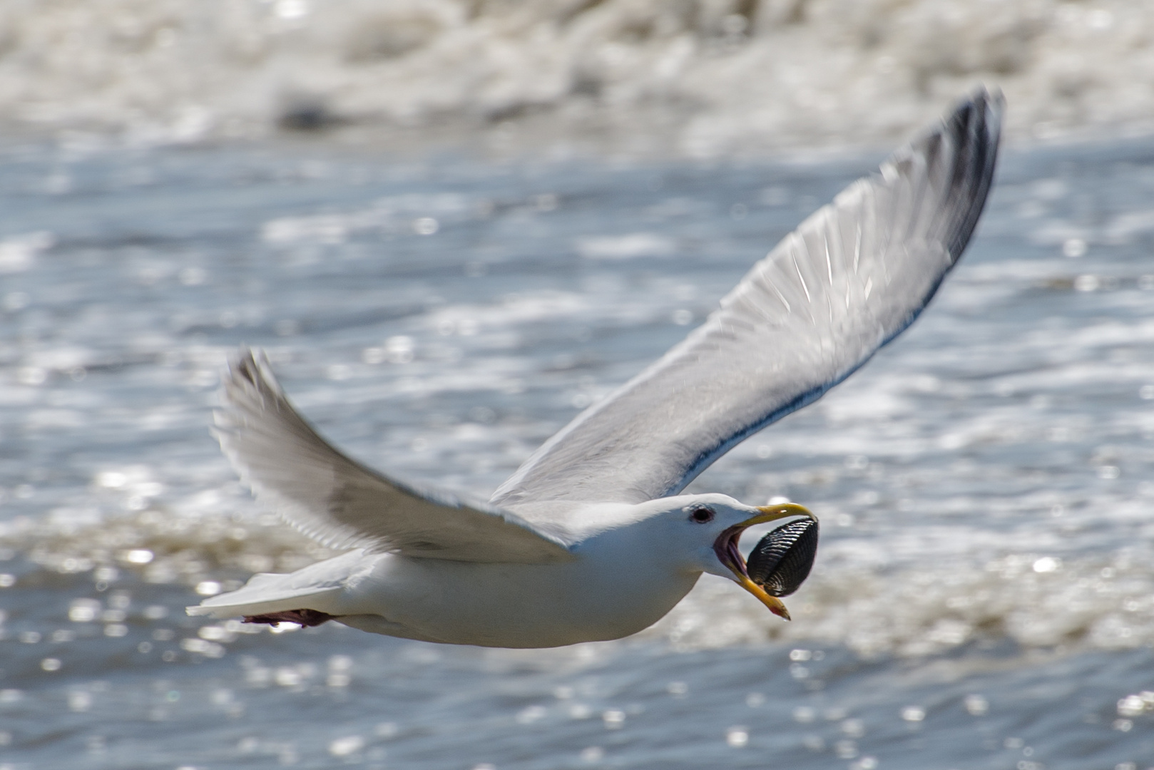 In flight