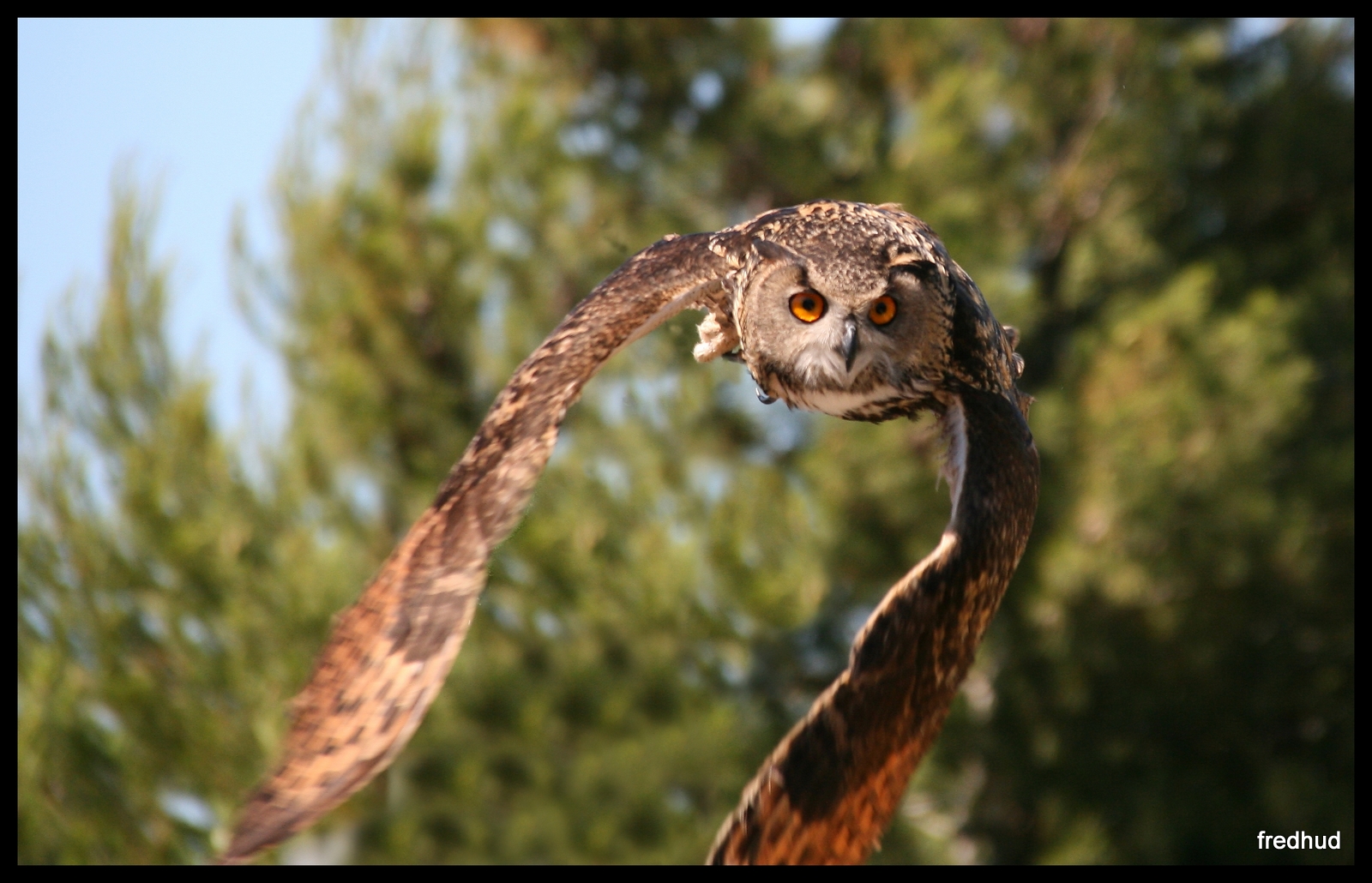 In Flight