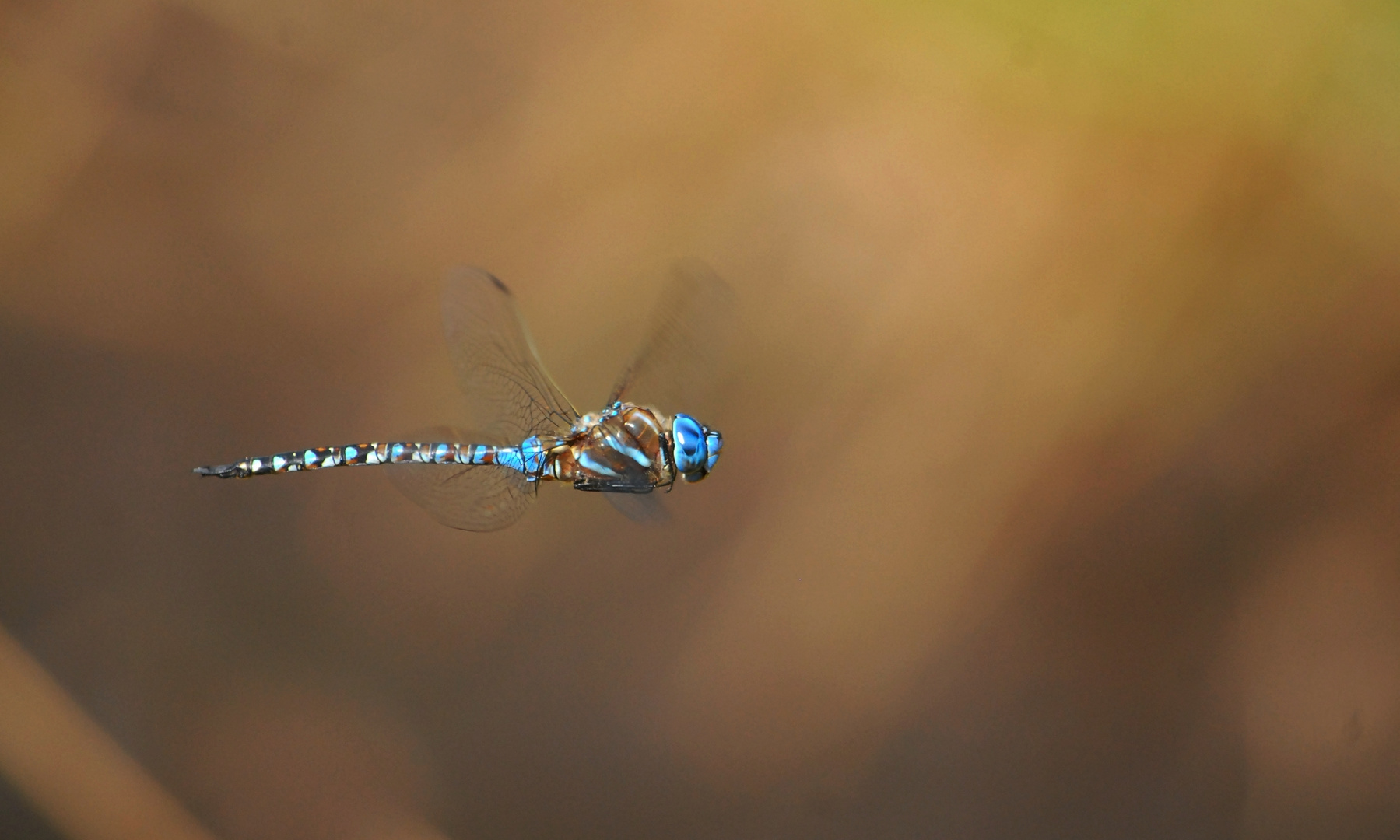 In flight