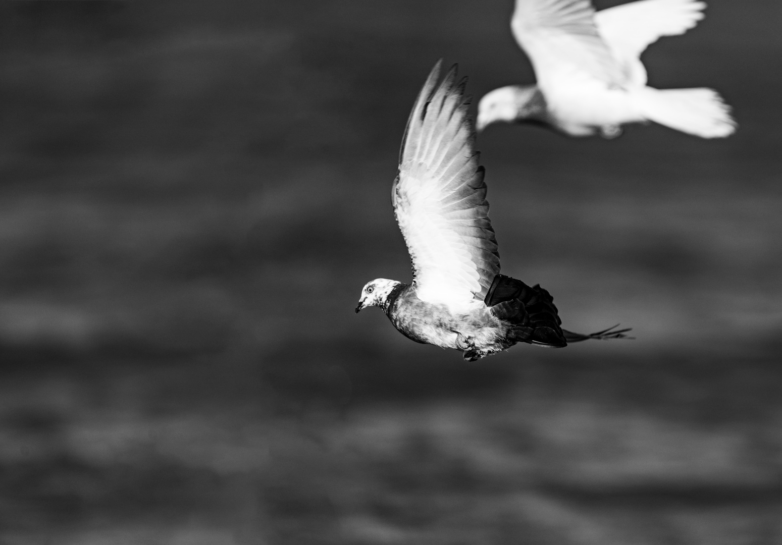 In Flight