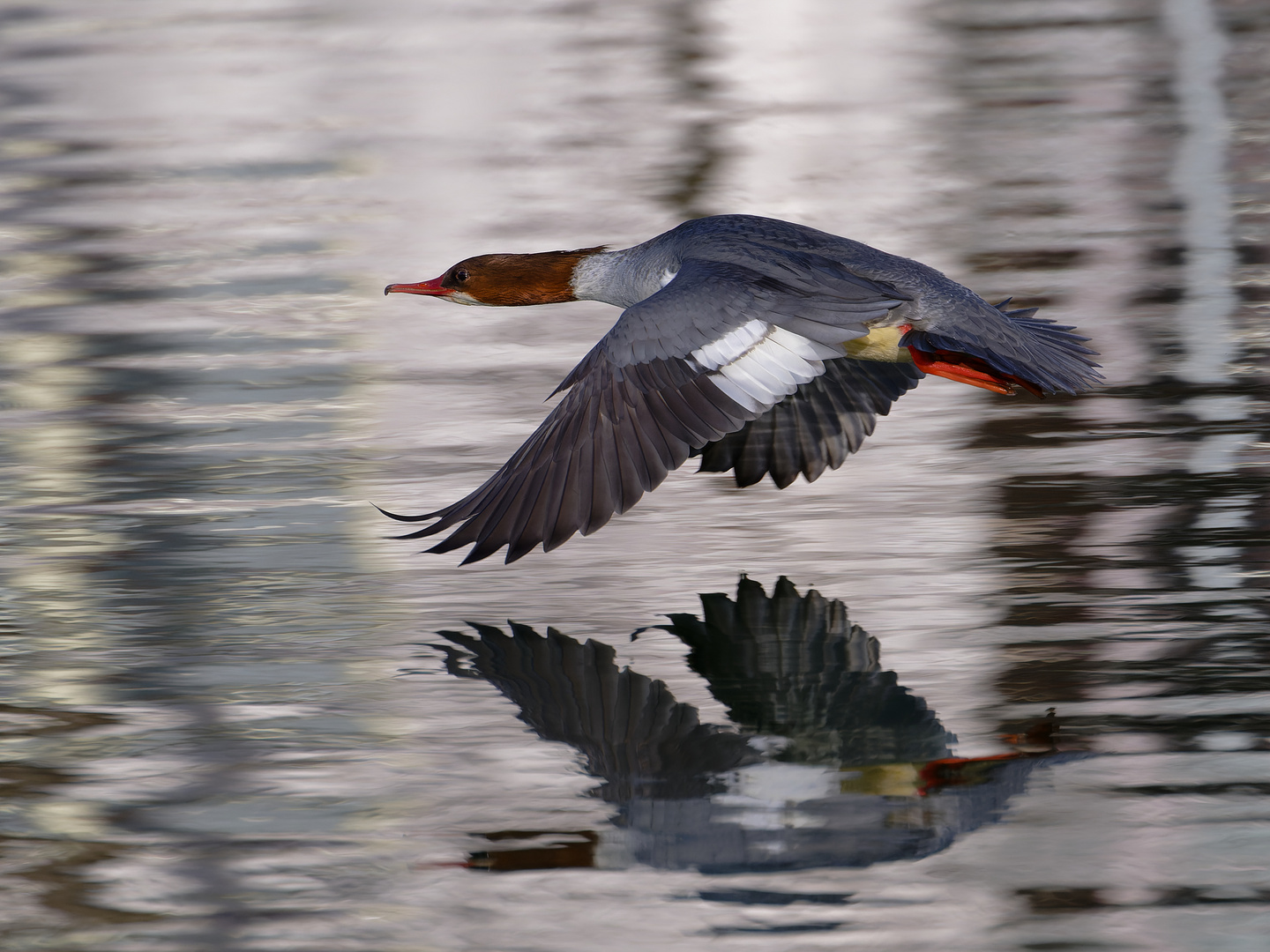 In Flight