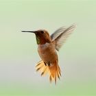 In flight !