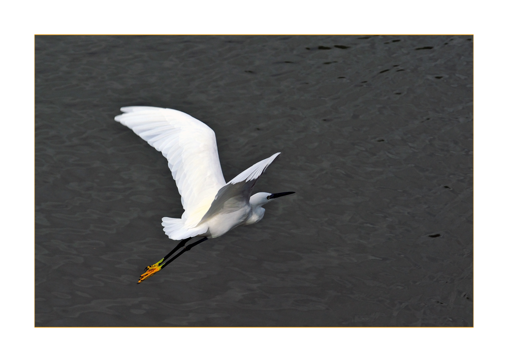 In Flight