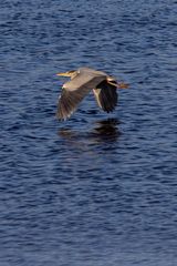 In Flight