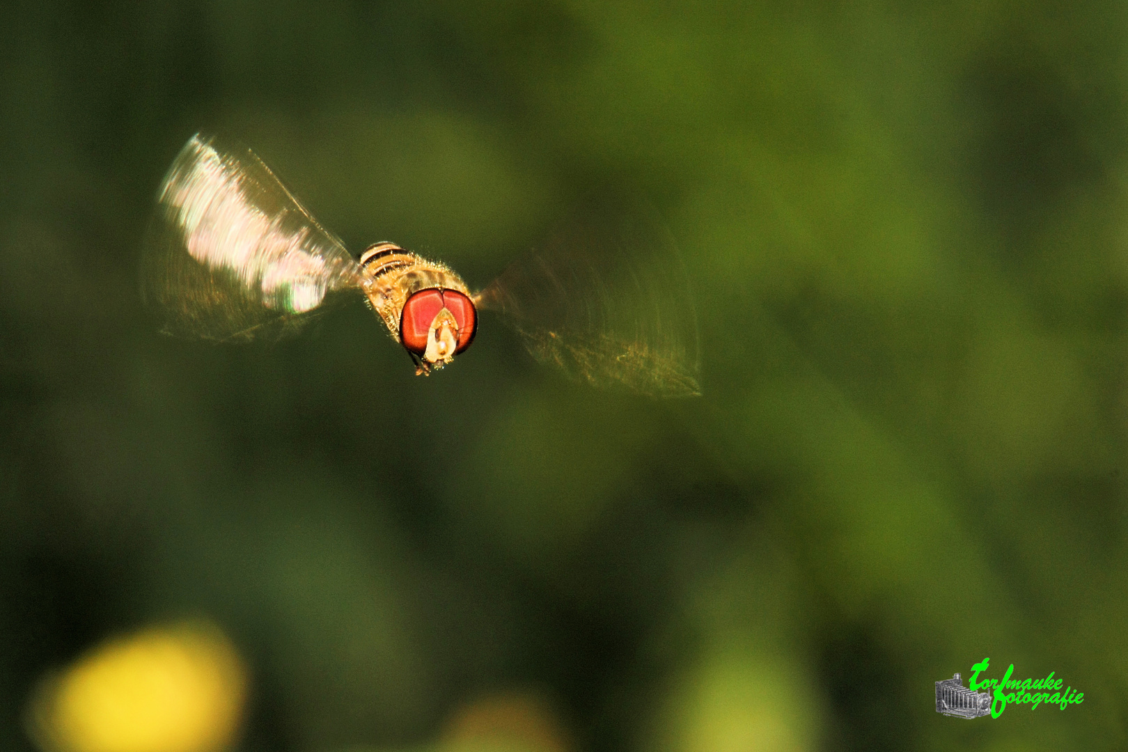 in flight