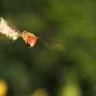 in flight