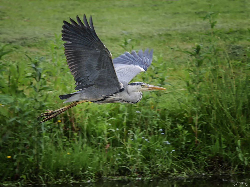 In Flight