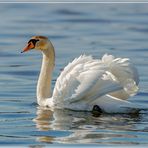in Flirt Laune