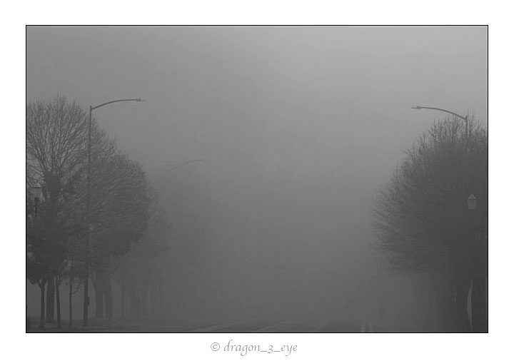 In Fog 