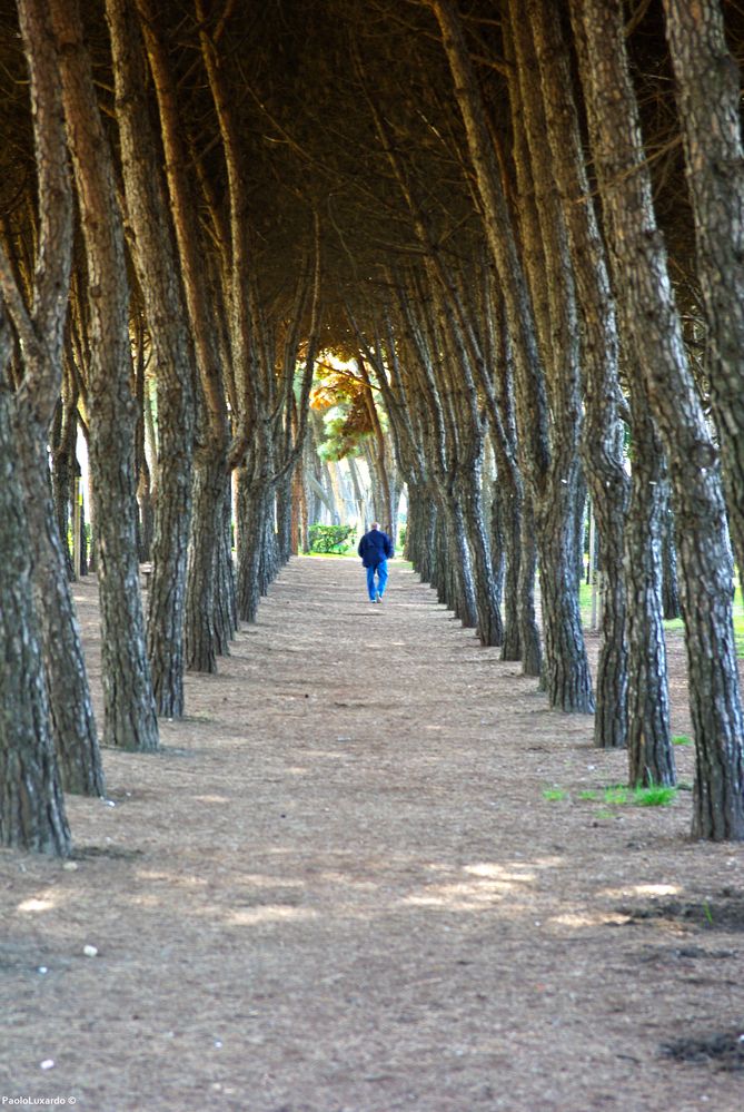 in fondo al viale