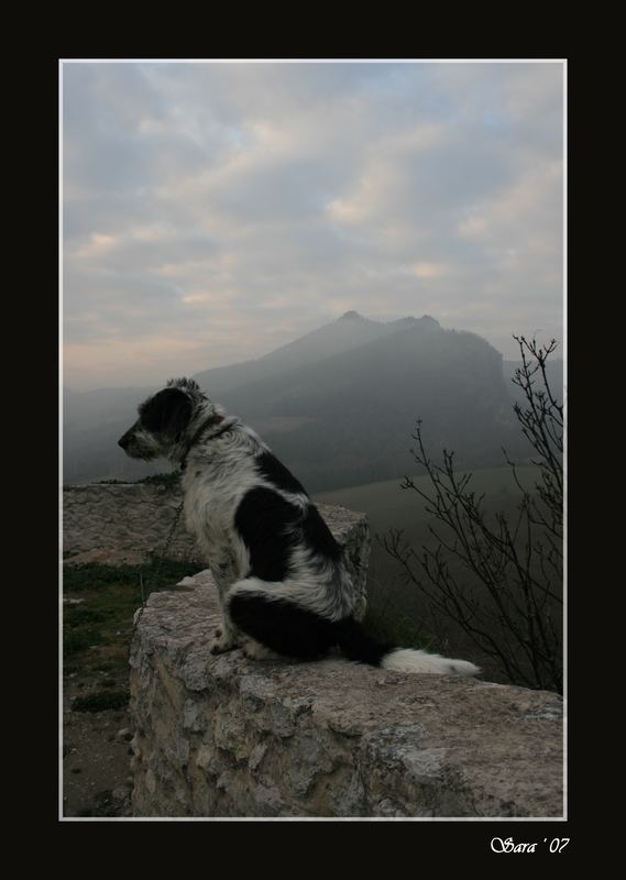 ...in fondo tutti siamo soli....