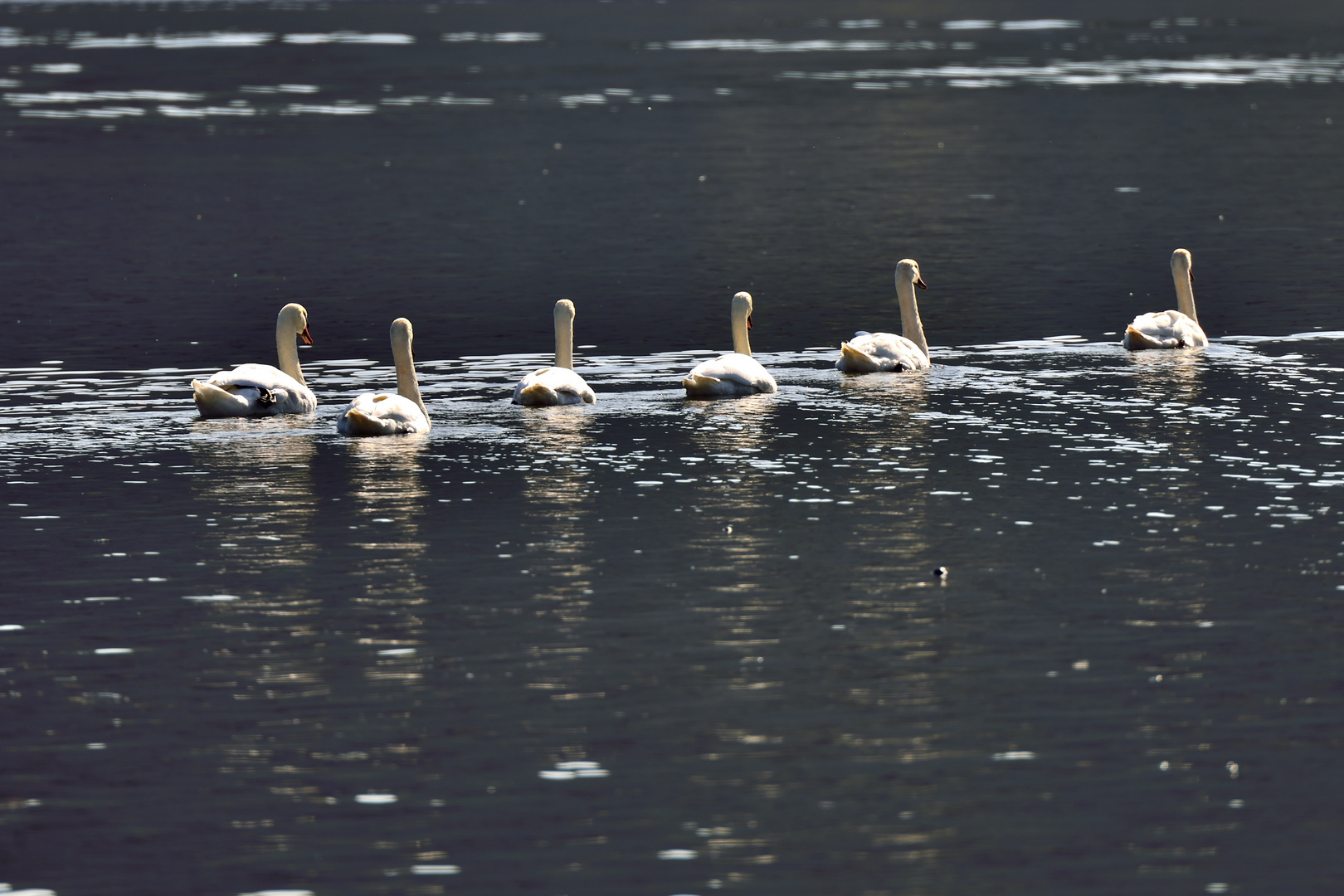 In Formation