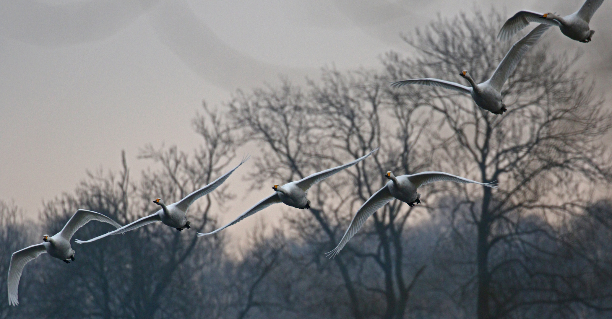 In Formation 