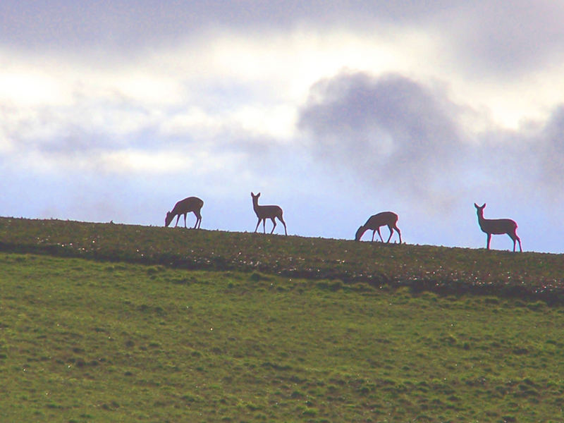 In Formation ;-)