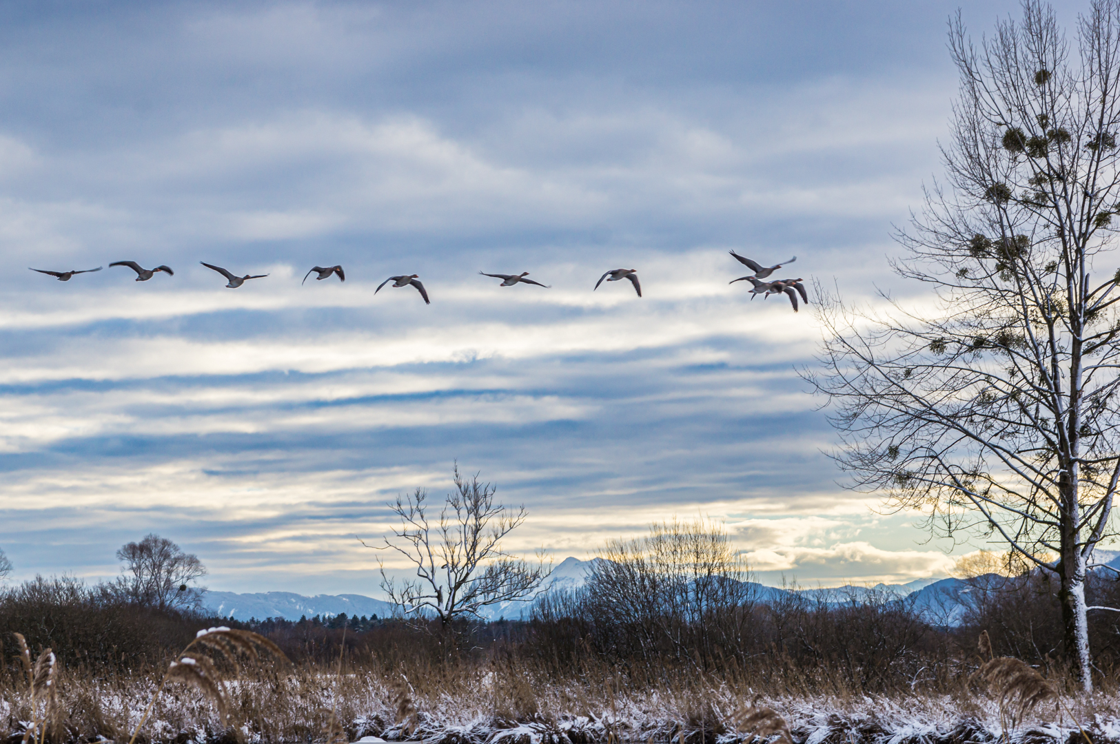 In Formation