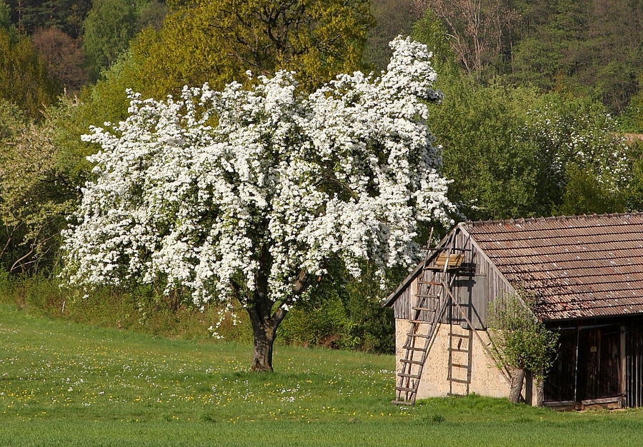 in Franken unterwegs