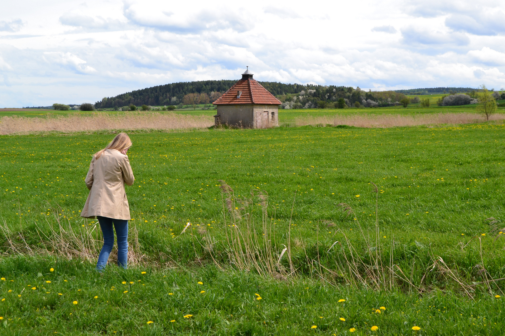 in freier Wildbahn