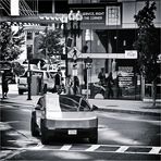 In freier Wildbahn... 