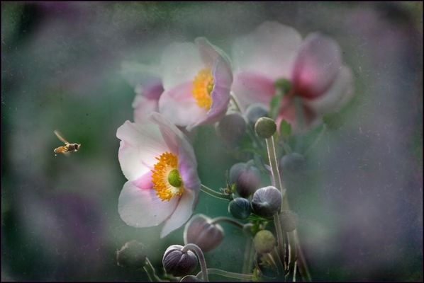 ~~In Freude schwimmen~~