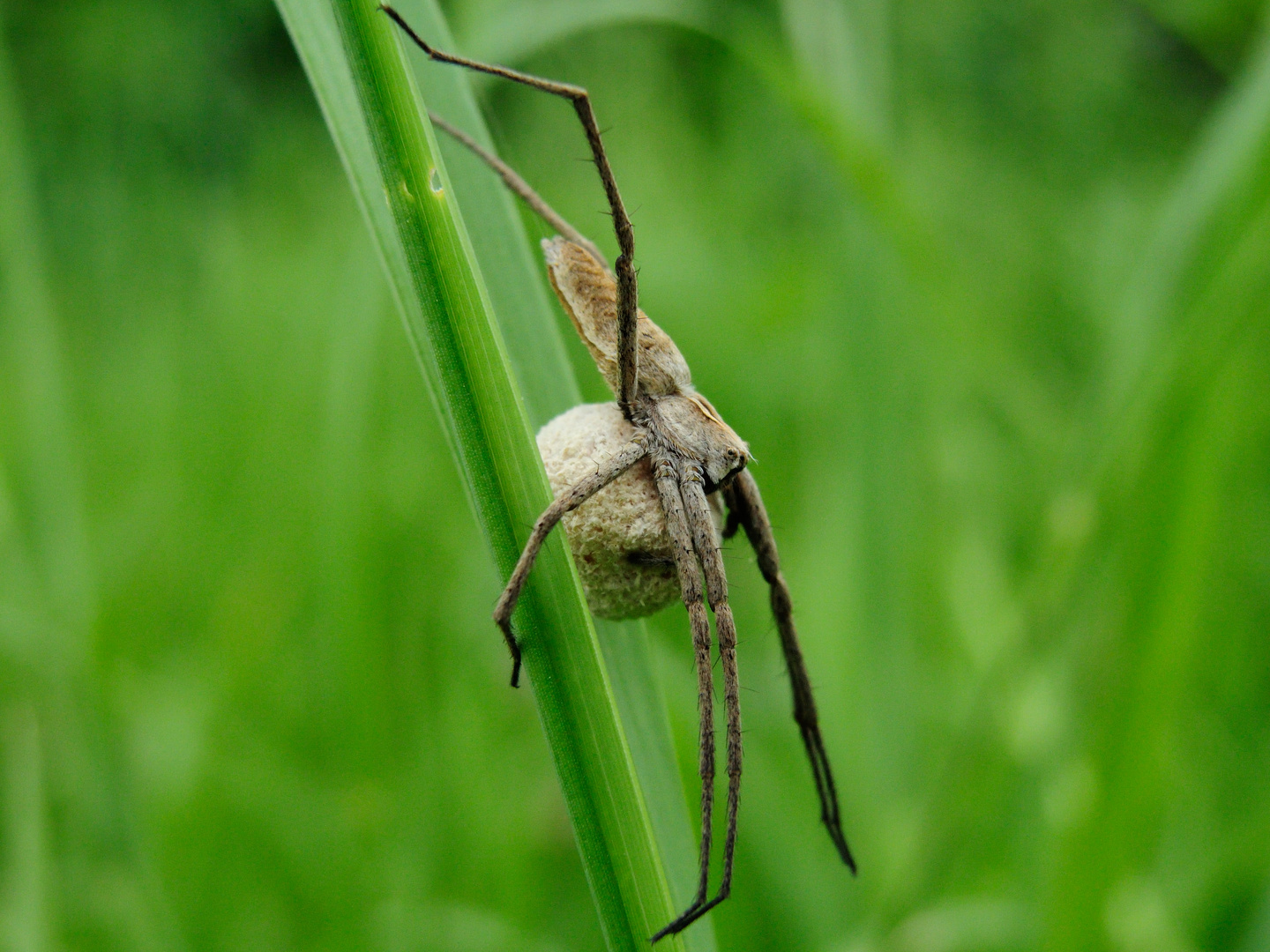 In freudiger Erwartung