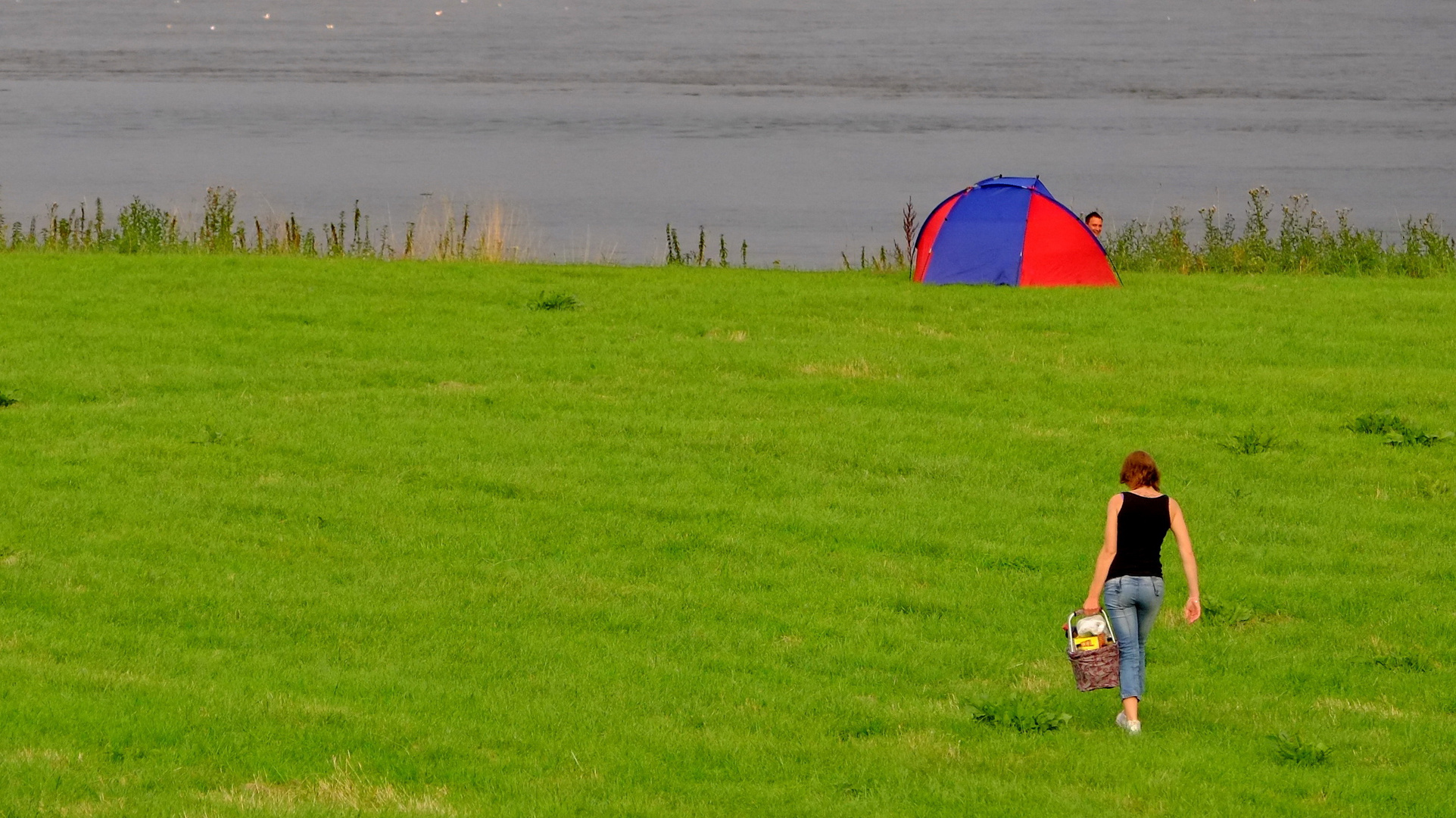 in freudiger Erwartung....ein Sommerabend am Rhein