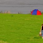 in freudiger Erwartung....ein Sommerabend am Rhein