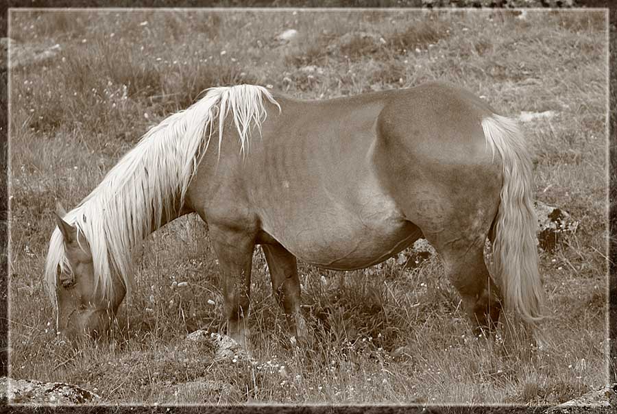 In froher Erwartung