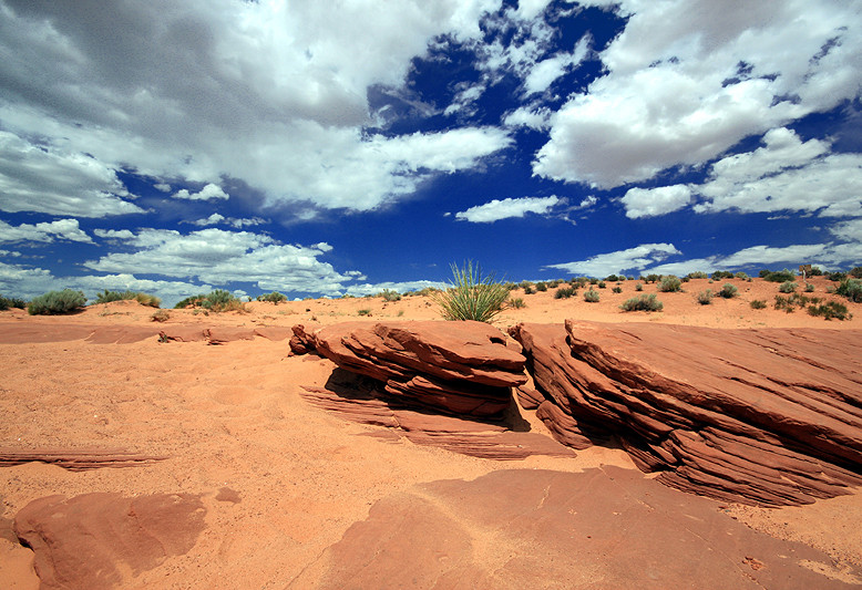 ....in front of the Antelope