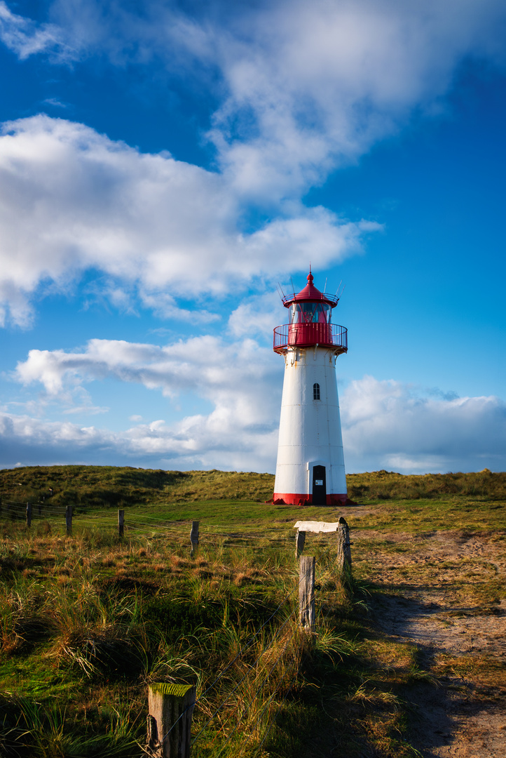 ... in front of the lighthouse ...