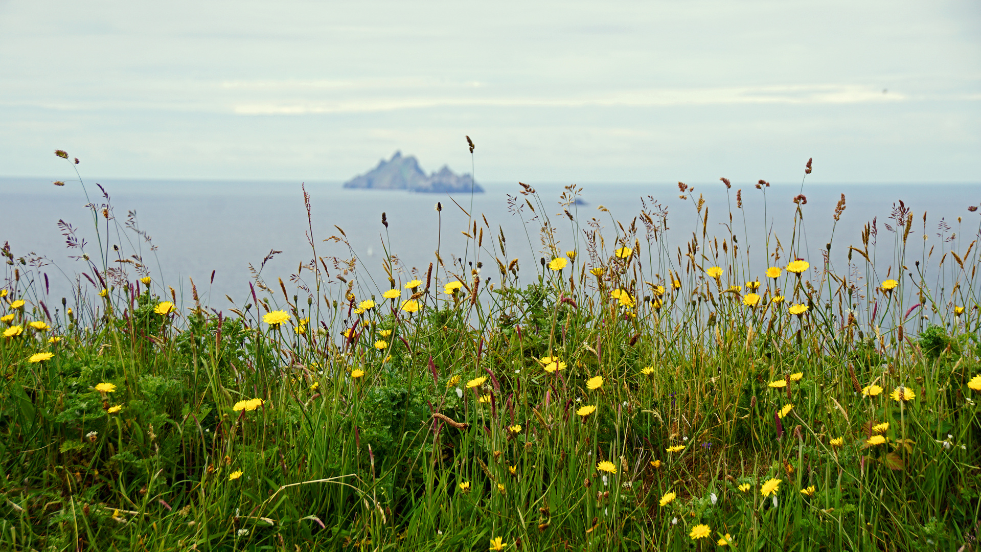 In Front of the Skelligs