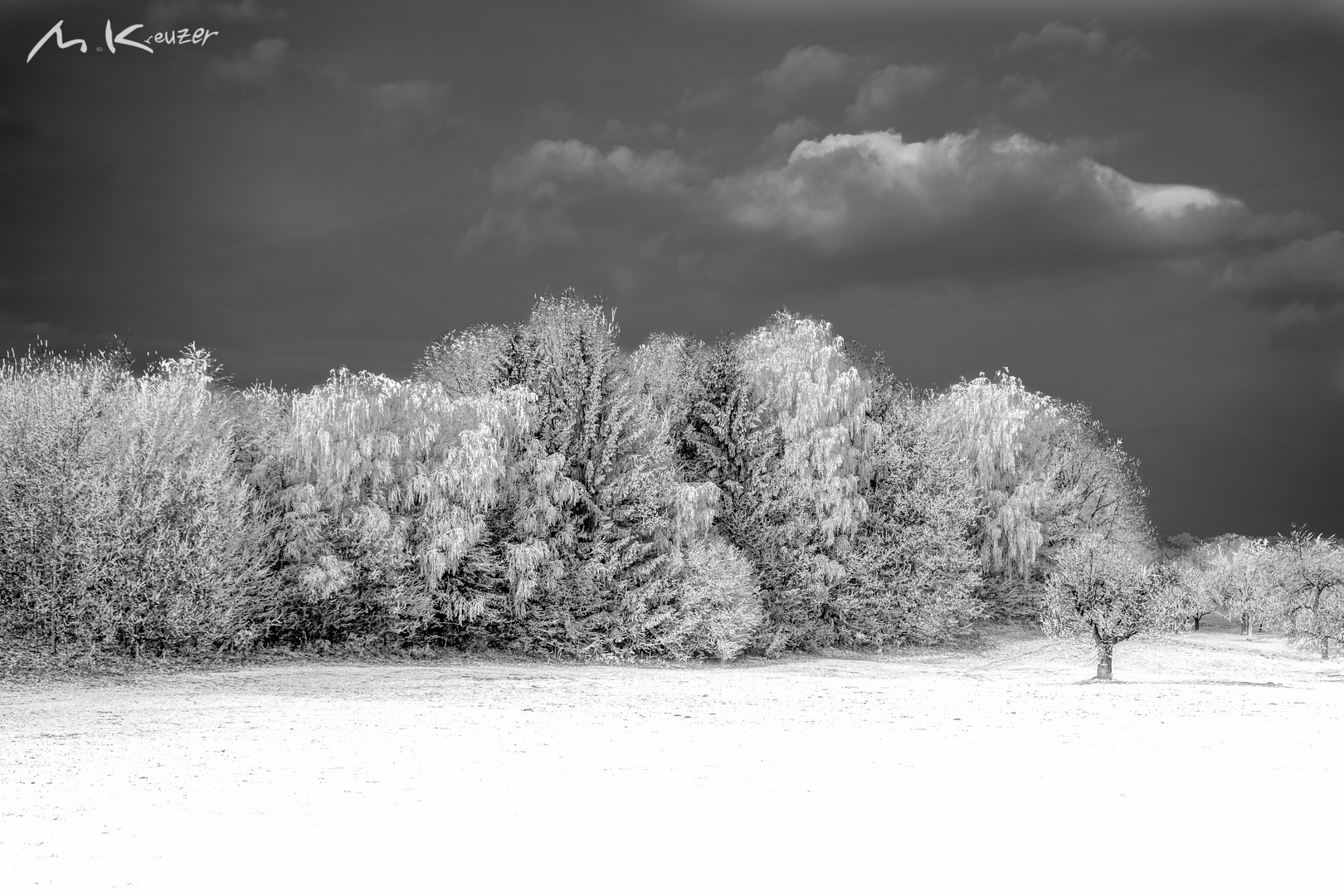 In Frost gehüllte Bäume