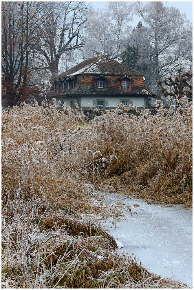 In frostiger Umgebung