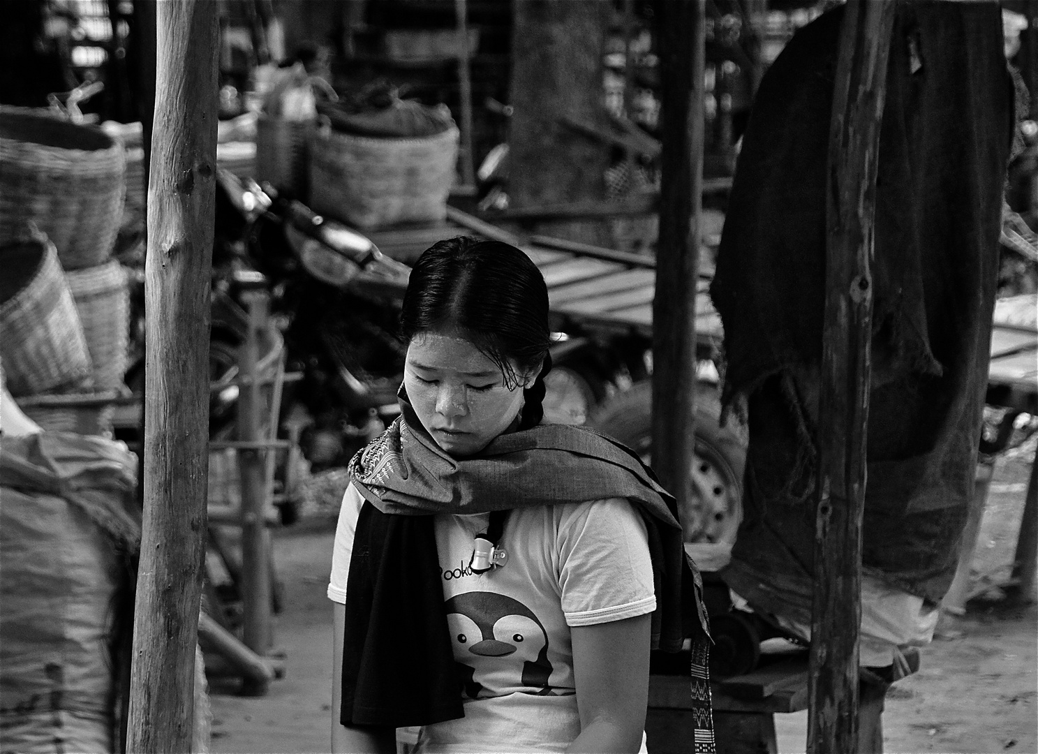 in gedanken III, burma 2011