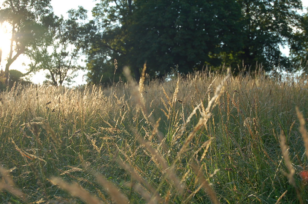 In Gedanken versunken