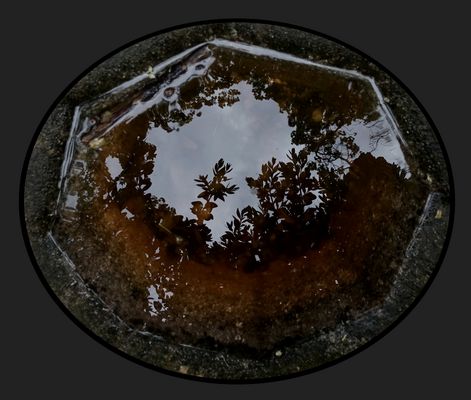 In Gedanken versunken ...