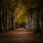 in Gedanken versunken