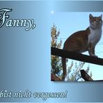 In Gedenken an Fanny