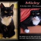 In Gedenken an Micky