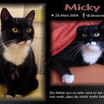 In Gedenken an Micky