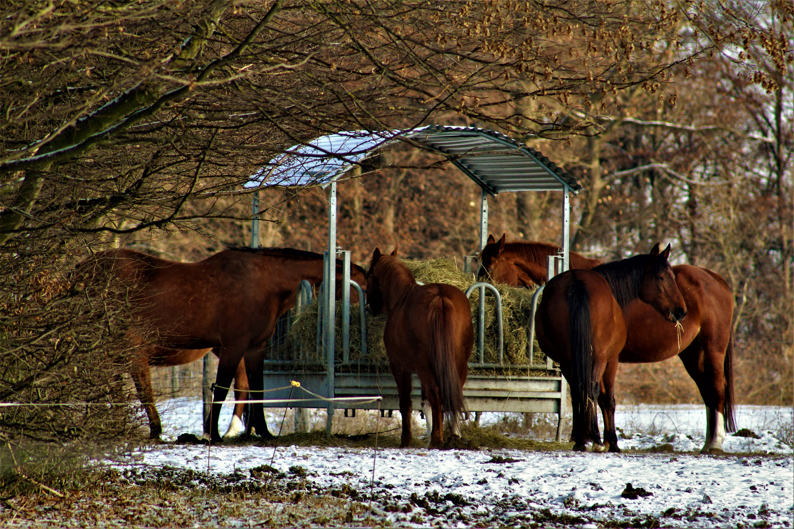 IN GEMEINSCHAFT