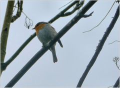 In gewisser Entfernung von mir