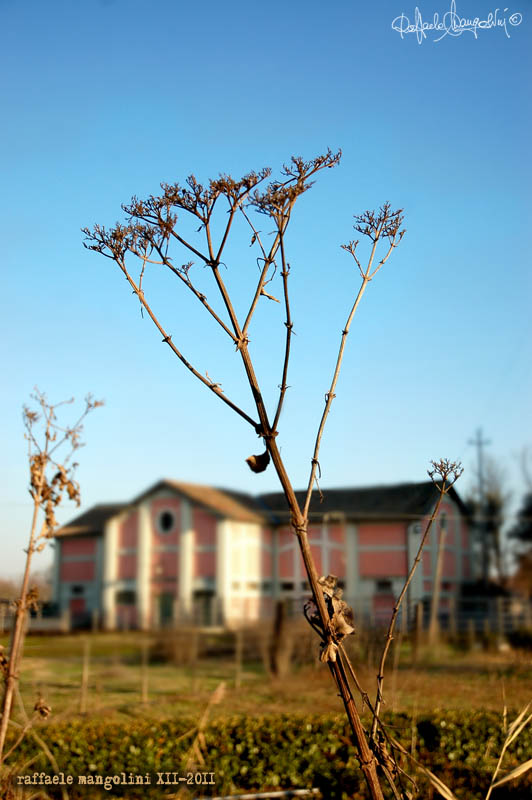 in giro per la Bassa, dicembre 2011