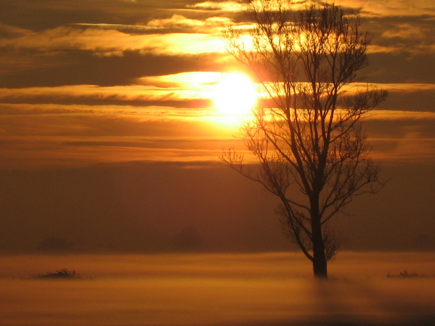 In Gold gehüllter Sonnenuntergang