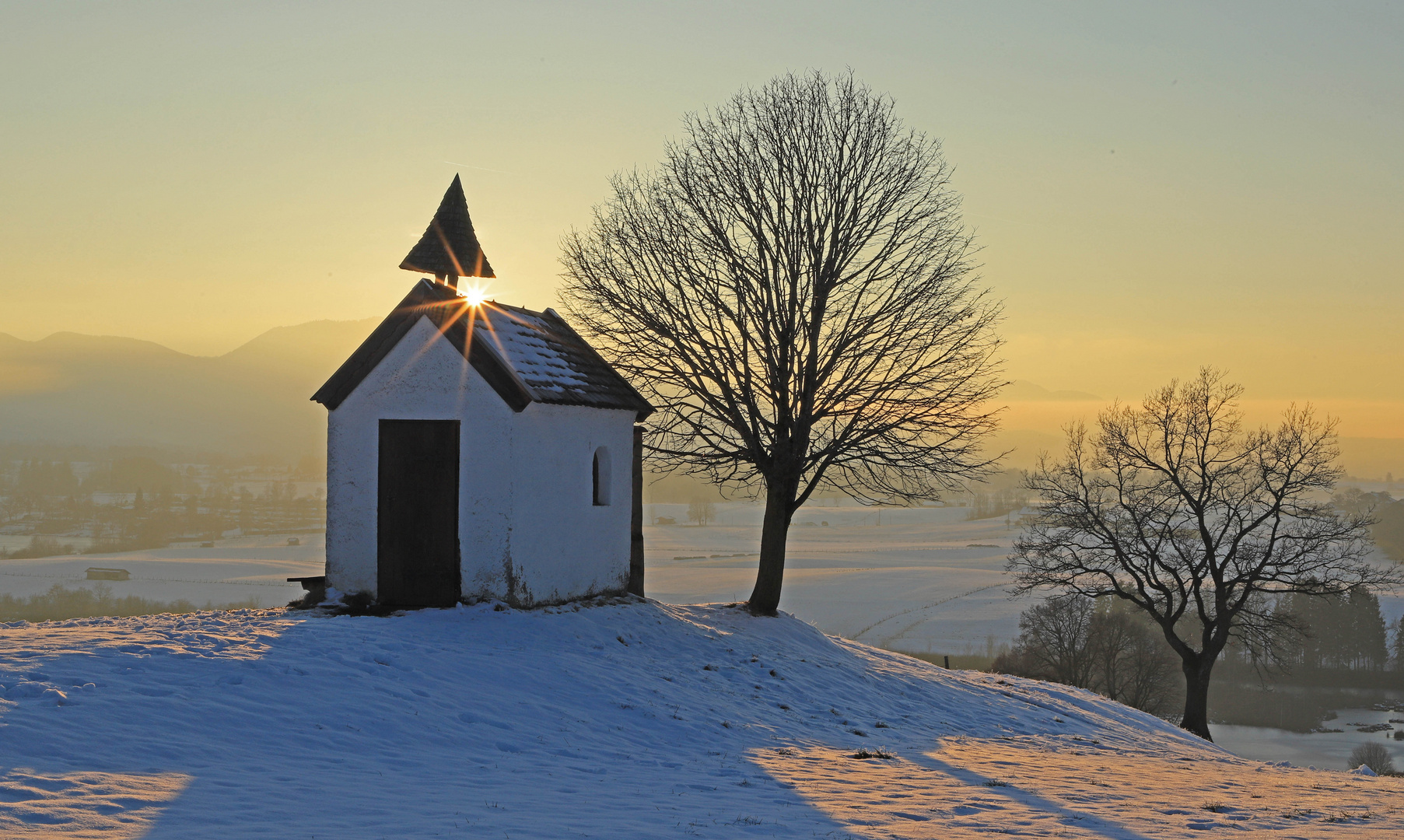 In goldenes Licht getaucht...