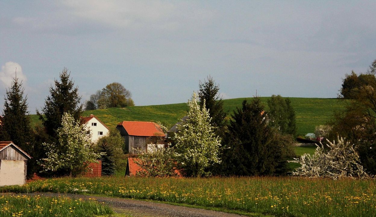 In Großhennersdorf